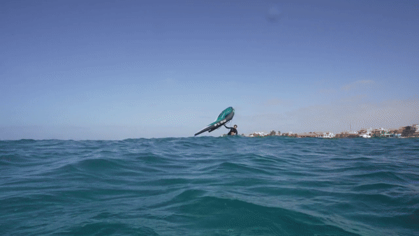 Ozone Flow Wing - Multiple Sizes