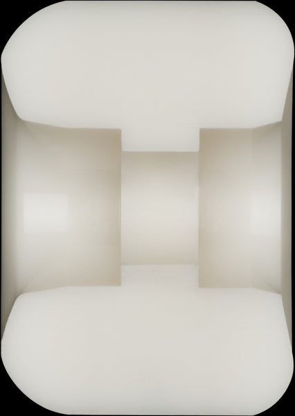 Powell Peralta Dragon Formula Nano Rats Skateboard Wheels 54mm x 39mm 97A 4pk