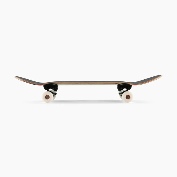 Landyachtz ATV Classic Flight Flock Complete