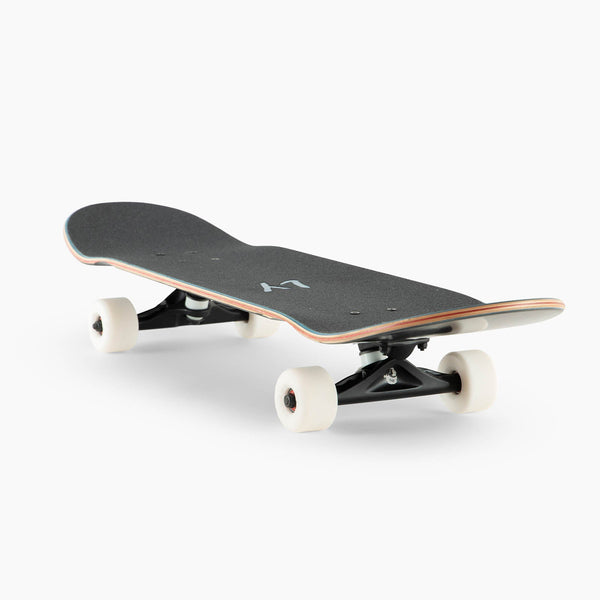 Landyachtz ATV Classic Flight Flock Complete