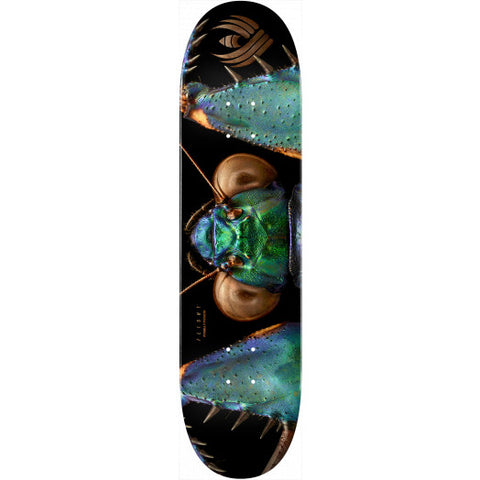 Powell Peralta Flight BISS Bark Mantis Skateboard Deck - Shape 245 - 8.75 x 32.95 - Sale