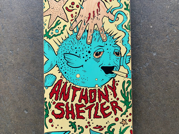 All I Need Skateboards Shetler Pufferfish Deck