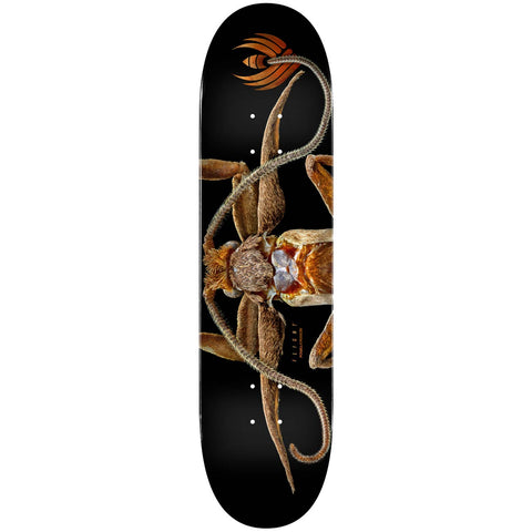 Powell Peralta Flight Deck BISS Marion Moth - Shape 243 - 8.25 x 31.95 - Sale
