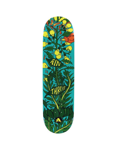 All I Need Skateboards Thrive Deck