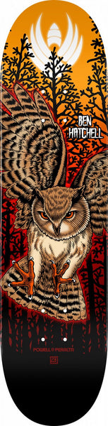 Powell Peralta Pro Ben Hatchell Owl 2 FLIGHT® Skateboard Deck - Shape 249 - 8.5 x 32.08